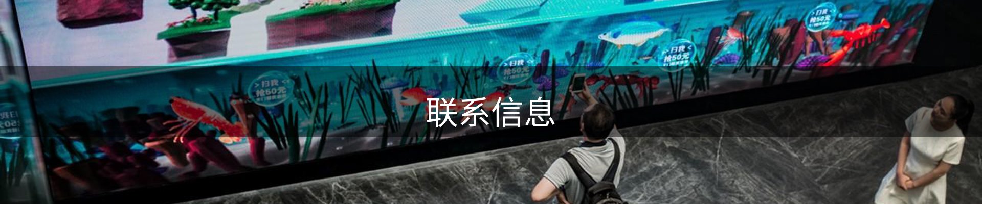 联系信息